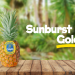 Chiquita introduces Sunburst Gold Pineapple