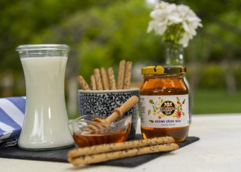 Arıcılara 4 milyon TL’lik destek: Mobil gezici laboratuvarları