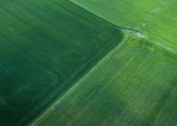 Lantmännen Research Foundation announces SEK 25 million for sustainable farming and food systems of the future