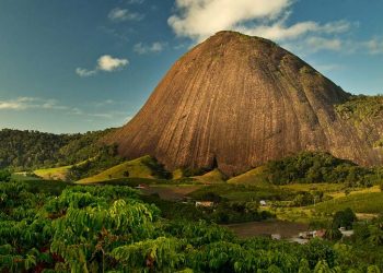 Nescafé Plan 2030 shows progress on farmers’ transition to regenerative agricultural practices