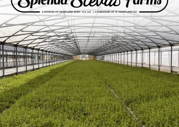 Splenda Stevia Farm redefines sustainable agriculture and delicious low-calorie sweeteners