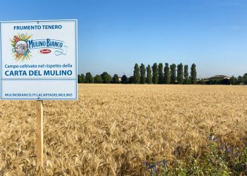 Barilla, sürdürülebilirlik, yenilik ve gezegenin korunması için 5 yıl içinde 1 milyar euro yatırım yapacak