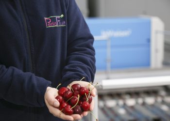Perla Fruit, kusursuz ürün kalitesine TOMRA Teknolojileri’nin desteğiyle ulaşıyor