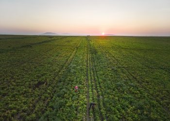 SPK Atakey’in halka arz başvurusunu onayladı