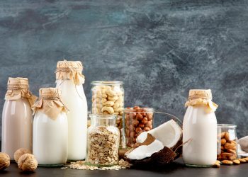 Plant-based diets, dairy substitutes, fermented applications and sustainability relations