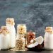Plant-based diets, dairy substitutes, fermented applications and sustainability relations