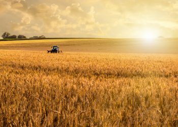 Nestlé advances efforts to source key ingredients grown with regenerative agriculture practices
