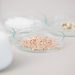 Novozymes and Arla Foods Ingredients join forces to harness power of precision fermentation
