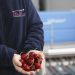 Perla Fruit achieves excellent quality using TOMRA Food Sorting and Grading Cherry Solutions