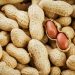 New gut microbiome research points to positive impact on memory and mood from peanut consumption