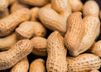 Nestlé divests its Palforzia business