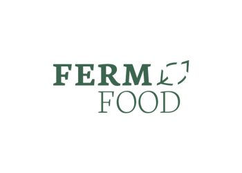 FERM FOOD presents Binders: Multifunctional and Fermented whole grain ingredients for food