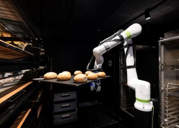 Fanuc’dan gıda israfını önleyen iş birlikçi cobot: Bakisto