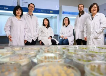 Lab grown fruit – scientists aim to break new ground with cellular horticulture research