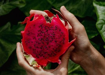 olam food ingredients identifies East meets West fusion