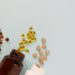 Vegan supplements market continues to soar with the growing popularity of veganism