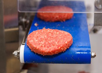 Patty and hamburger forming machines meet the needs of the industry
