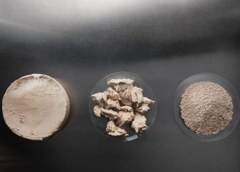New study by Enifer and NMBU shows that farmed fish grow better and healthier with fungi produced from Nordic forestry by-products than with soybeans