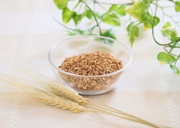 Teijin to enhance BARLEYmax™ super barley marketing for bakery applications in Europe