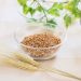 Teijin to enhance BARLEYmax™ super barley marketing for bakery applications in Europe