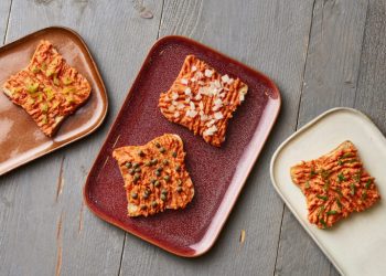 Solina expands its European sauce market leadership with the acquisition of Jermayo