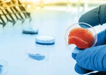 Stakeholder Foods® achieves more than 75% cost reduction in growth media for bovine cell cultivation