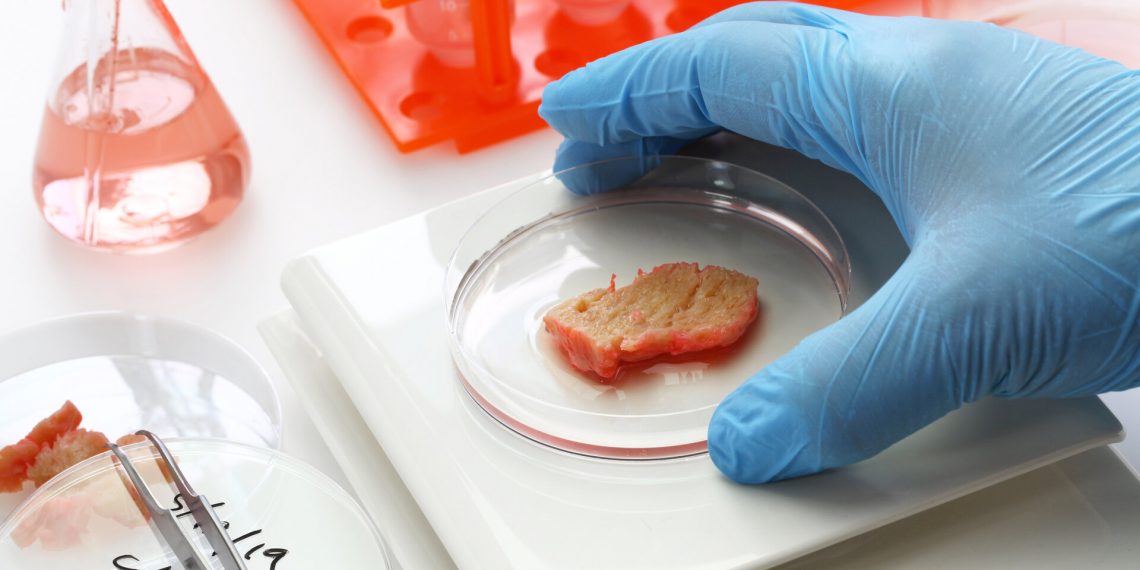 ESA explores cultivated meat for space food