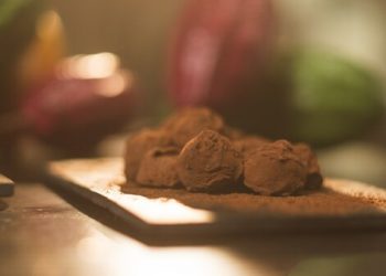 Chocolate at its best: Gudrun launches revolutionary treat based on upcycling