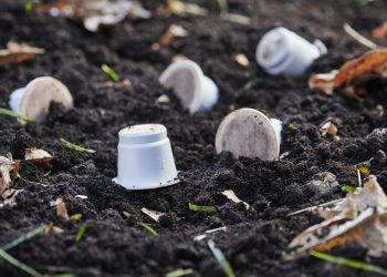 Compostable coffee capsules made with NatureWorks’ Ingeo biopolymer score highest sustainability marks in new study by Wageningen University & Research