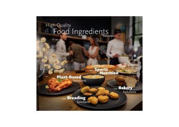 FiE 2023: Loryma welcomes you home