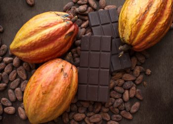 Koa closes $15m Series B round to scale up cocoa upcycling