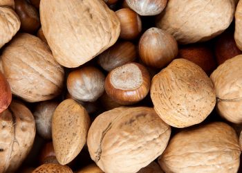 Study shows tree nuts as snacks reduce metabolic syndrome risk in millennials