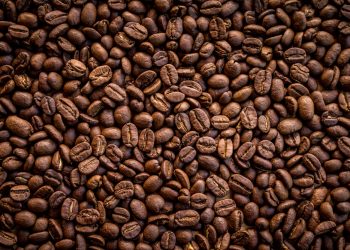 Anisah Coffee, günlük kahve üretimini 3,5 tonun üzerine çıkardı