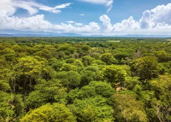 Lindt & Sprüngli announces science-based climate targets