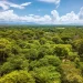 Lindt & Sprüngli announces science-based climate targets