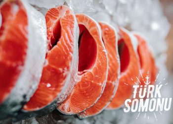 Su ürünleri ihracatı 2023 yılında 1,7 milyar dolara ulaştı