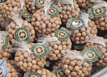 CÜD A.Ş. logolu cevizler raflardaki yerini aldı