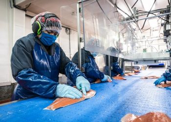 GSA Seeks Pilots for Seafood Processing Standard Issue 6.0