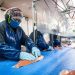 GSA Seeks Pilots for Seafood Processing Standard Issue 6.0