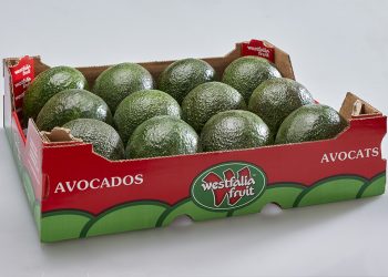 Westfalia Fruit celebrates 75 years leading global avocado markets and Doing Good