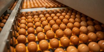 Cal-Maine Foods expands operations with the acquisition of Tyson’s Dexter facility for egg production