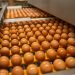 Cal-Maine Foods expands operations with the acquisition of Tyson’s Dexter facility for egg production