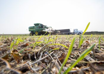 Cargill purchases two meat plants