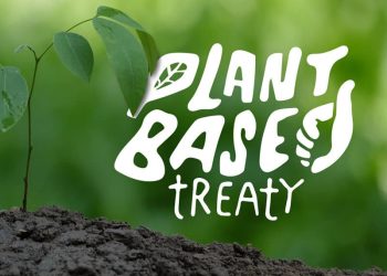 Amsterdam becomes the first EU capital city to endorse the call for a Plant Based Treaty in response to the climate emergency