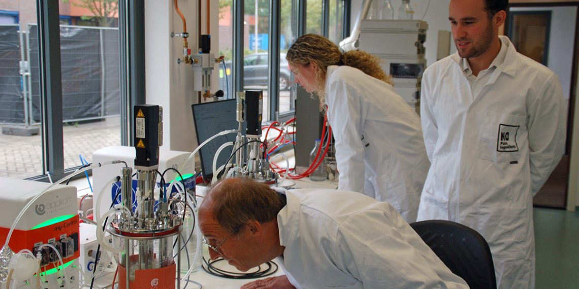 Developing alternatives to palm oil with Getinge bioreactors