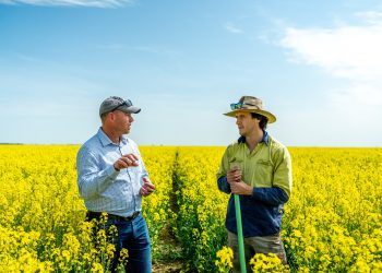 Cargill SustainConnect™ to meet rising demand for sustainable canola & open new revenue streams for Australian canola growers