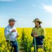 Cargill SustainConnect™ to meet rising demand for sustainable canola & open new revenue streams for Australian canola growers