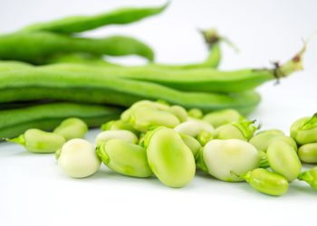 Advancing Canadian ingredients with new fava bean research