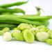 Advancing Canadian ingredients with new fava bean research
