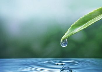 Su kaynaklarının doğru kullanımı en kritik adım